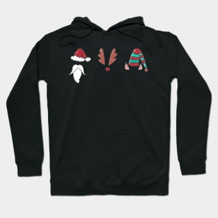 Santa, Rudolph and an Elf Walk into a bar... Hoodie